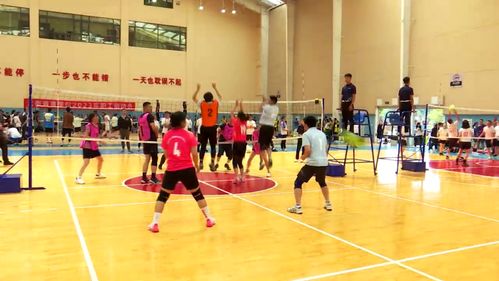 科技赋能，全民健身 免费开放引领健康新时代