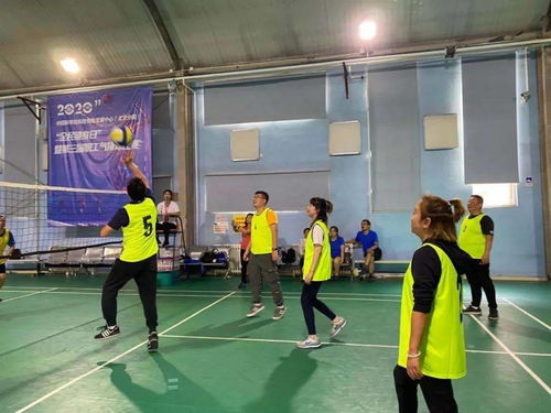 中关村街道积极参与2020年全民健身日活动 科技服务与气排球赛的活力交响